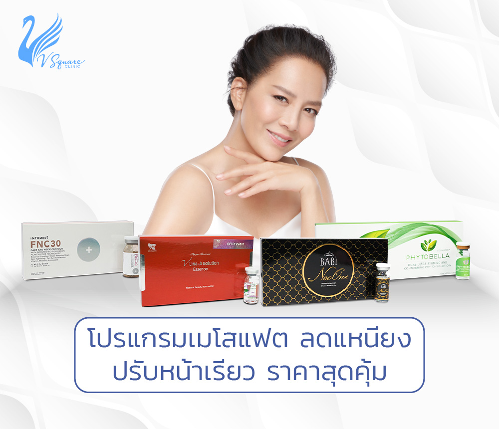 สรุปราคเมโสเเฟต