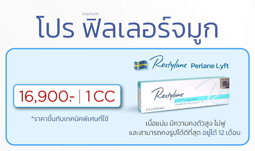 โปรฟิลเลอร์จมูก