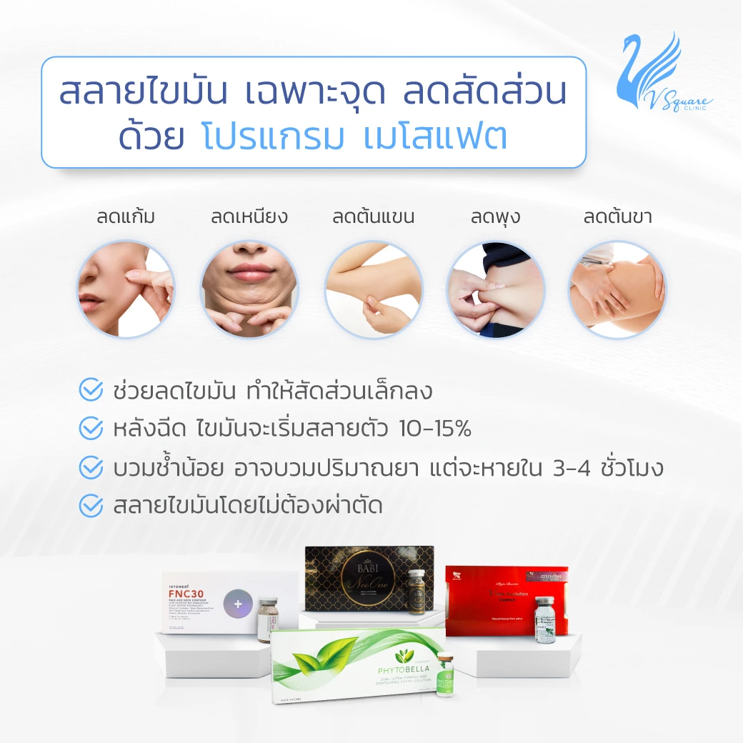 เมโสแฟต