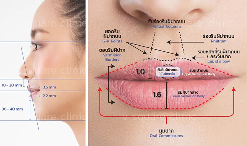 รูปปากที่ดี