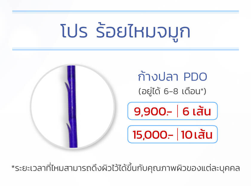 ร้อยไหมจมูก ราคา