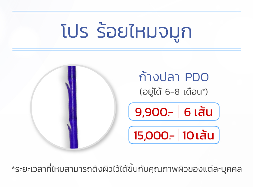 ร้อยไหมเก็บปีกจมูก ราคาเท่าไหร่