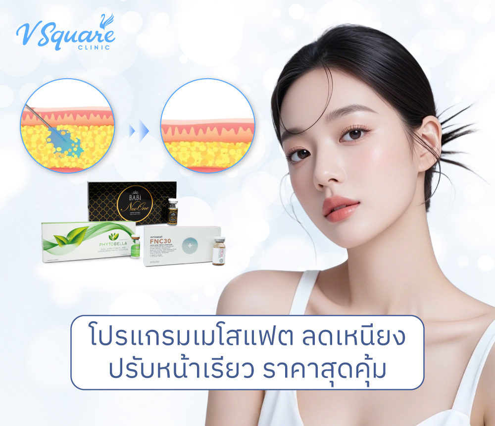 โปรแกรมเมโสแฟต-ลดเหนียง