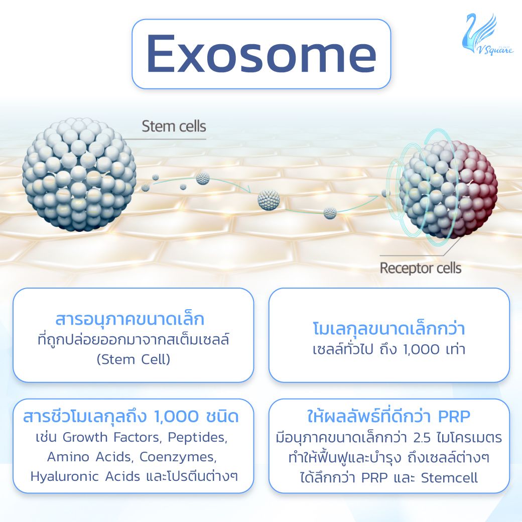 Exosome Skin Booster