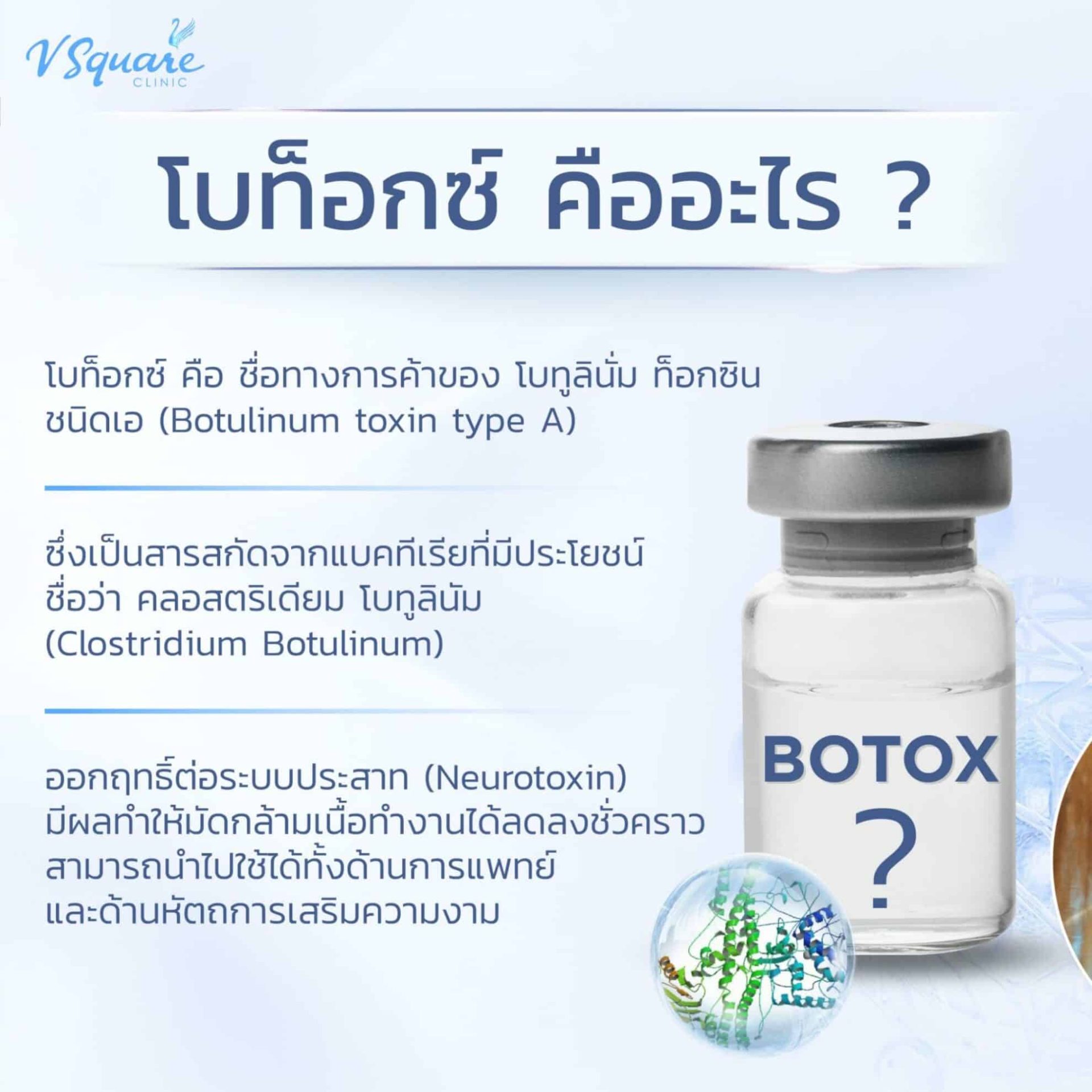 โบท็อก คือ