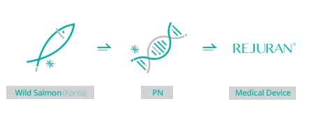 การสกัด Salmon DNA