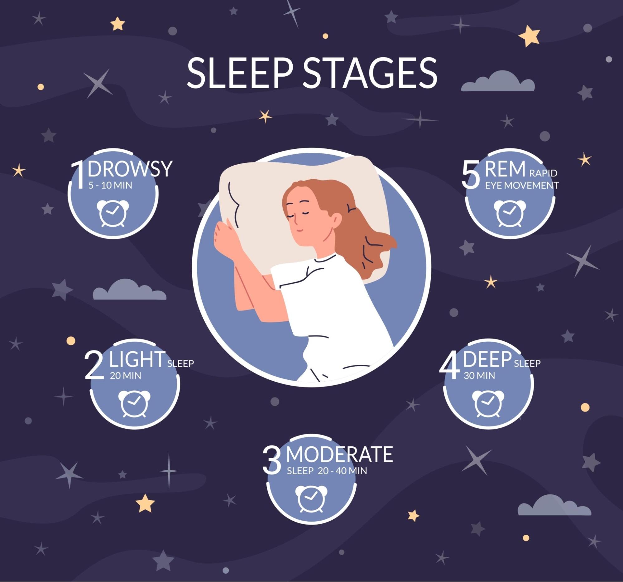 ระดับการนอน (Sleep Stage)